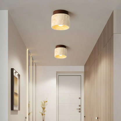 Radia Ceiling Lamp | Flush Mount Ceiling Light | Ceiling Light Fixture | LED Ceiling Lights | Ceiling Lights – Wishly 1